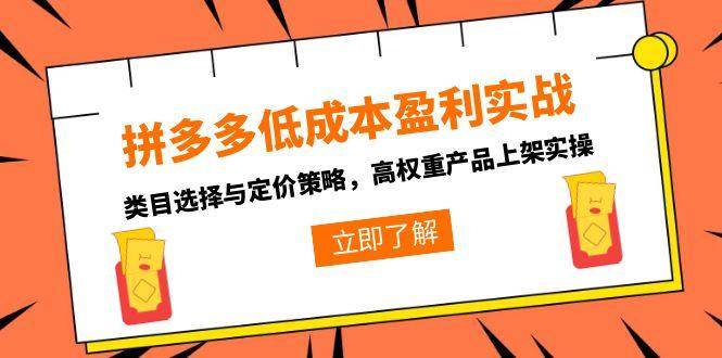(15143期)拼多多低成本盈利实战,类目选择与定价策略,高权重产品上架实操-轻创社项目网