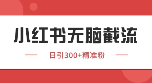小红书截流同行客源,独家野路子获客玩法 日引200+暴力获客【揭秘】-轻创社项目网