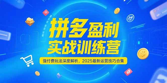 (15183期)拼多多盈利实战训练营,强付费玩法深度解析,2025最新运营技巧合集-轻创社项目网