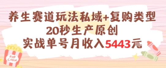 养生赛道玩法私域+复购类型,20秒生产原创实战单号月收入5k+-轻创社项目网