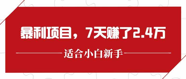 (15228期)最新暴利项目,每单收益轻松在300以上,7天赚了2.4万-轻创社项目网
