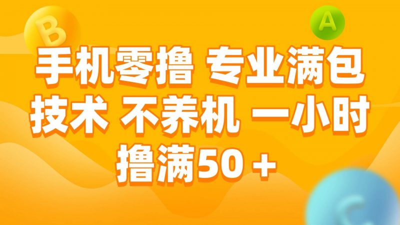 (15059期)手机零撸 专业满包技术 不养机 一小时撸满50+-轻创社项目网