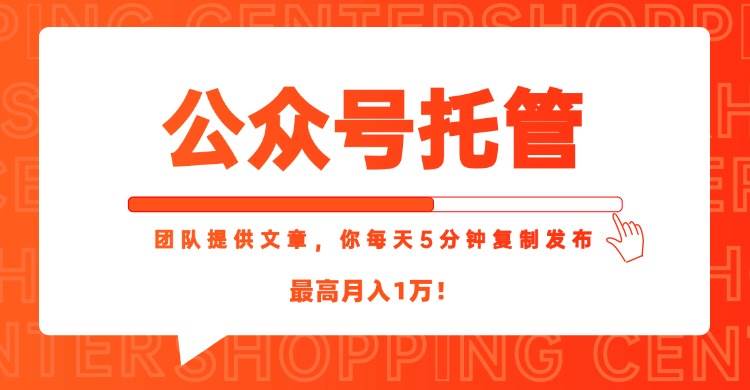 (15109期)【公众号托管 】我提供文章,你每天5分钟复制发布,最高月入1W-轻创社项目网