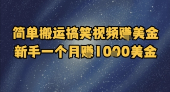简单搬运搞笑视频挣美金,新手一个月入1k美金-轻创社项目网
