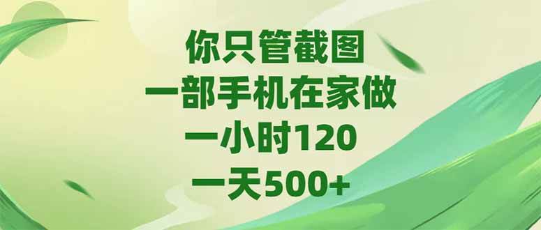 (15039期)你只管截图,一部手机在家做,一小时120,-天500+-轻创社项目网