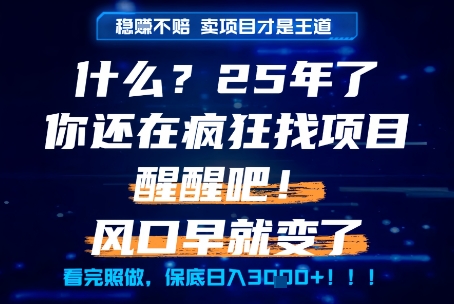 什么?25年你还在疯狂找项目做,醒醒吧,看完这些你全都懂了!【揭秘】-轻创社项目网