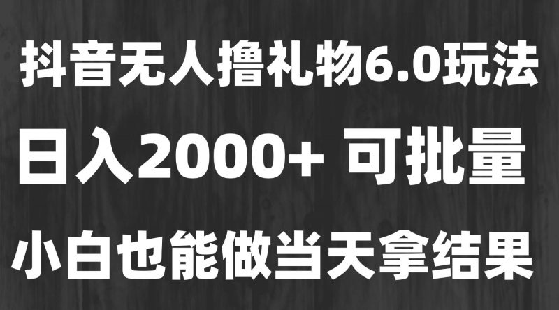 (15250期)最新风口暴力撸金技术,无人撸礼物,长期稳定 一天收益2000+,小白当天…-轻创社项目网