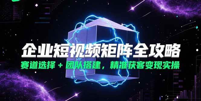 (15242期)企业短视频矩阵全攻略,赛道选择+团队搭建,精准获客变现实操-轻创社项目网