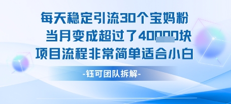 每天稳定引流30个人 当月变成超过了4个W项目流程非常简单适合小白-轻创社项目网