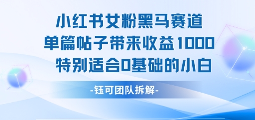 小红书女粉黑马赛道单篇帖子带来收益1k+,特别适合0基础的小白-轻创社项目网