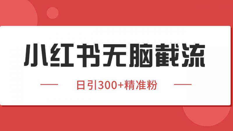 小红书截流同行客源,独家野路子获客玩法 日引200+暴力获客-轻创社项目网