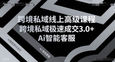 跨境私域线上高级课程,跨境私域极速成交3.0+Ai智能客服-轻创社项目网