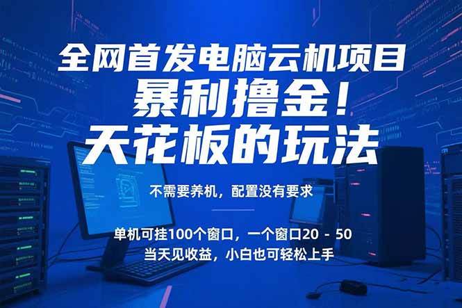 (15323期)电脑云机项目 暴力撸金玩法,不需要养机 配置没有要求 单机100个窗口一…-轻创社项目网