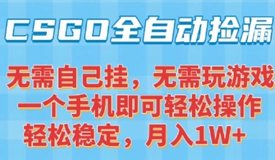 CSGO自动捡漏项目,最新独家玩法,一个手机可操作,新手小白轻松月入1W+,操作简单易上手【揭秘】-轻创社项目网