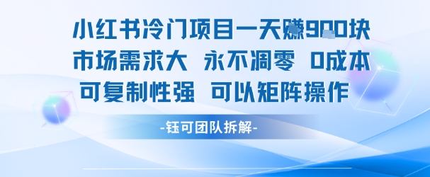 小红书冷门项目一天收益9张,市场需求大,0成本,可复制性强可以矩阵操作-轻创社项目网