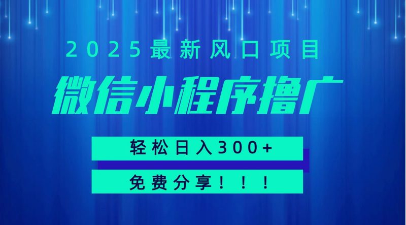 微信小程序撸广,最新风口项目,日入300+ 免费分享 可批量操作 小白可轻松上手!!-轻创社项目网