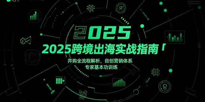 (15503期)2025跨境出海实战指南,并购全流程解析,自创营销体系,专家基本功训练-轻创社项目网