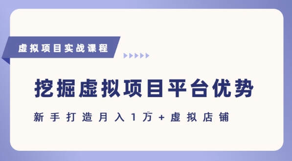 抓住虚拟项目各平台优势,新手轻松月入1W+(给出具体建议)-轻创社项目网