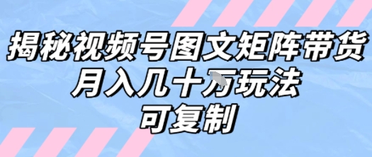解密视频号图文矩阵带货,月入几个W的打法,可复制-轻创社项目网