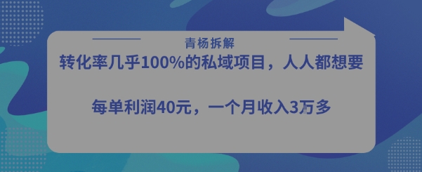 转化率最高的私域项目,每单利润40-50米,月入过1w-轻创社项目网