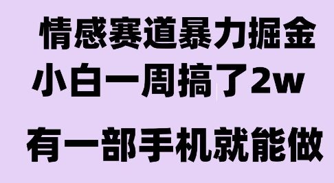 情感暴力掘金项目,新人操作一周挣了2W,长期稳定小白可做【揭秘】-轻创社项目网
