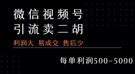 视频号卖二胡教程,利润大 易成交 售后少,一单利润5张+-轻创社项目网