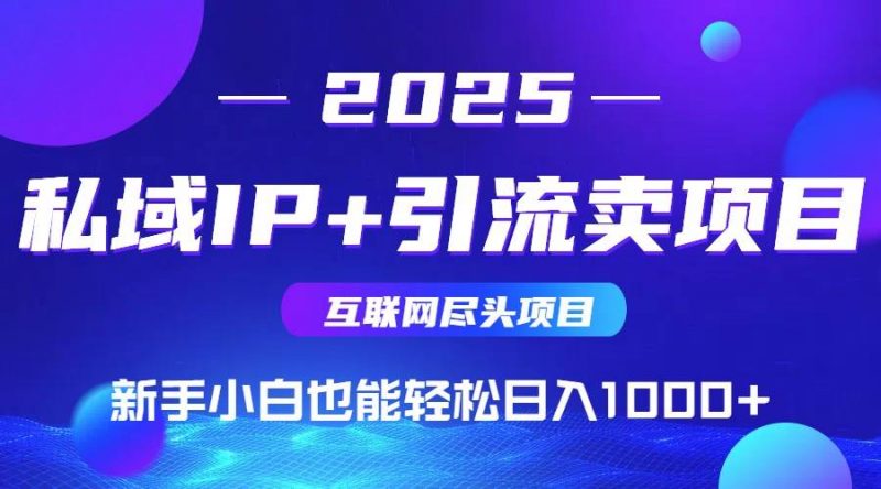 (15531期)2025网创尽头项目,私域IP+引流,新手小白也能在家日入1000+-轻创社项目网