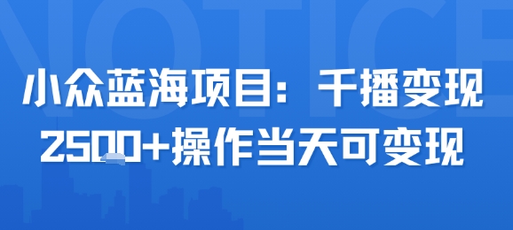 小众蓝海项目,千播变现2.5k+操作当天可变现-轻创社项目网