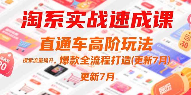 (15374期)淘系实战速成课,直通车高阶玩法,搜索流量提升,爆款全流程打造(更新7月)-轻创社项目网