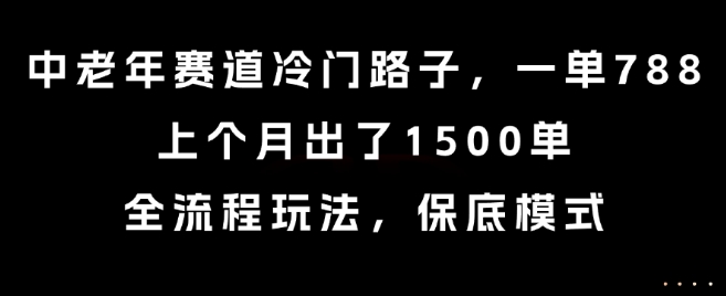 中老年赛道冷门路子,一单788,上个月出了1500单,全流程玩法,保底模式【揭秘】-轻创社项目网
