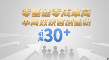 零基础零成本简单高效获客创业粉,一天引流30+-轻创社项目网
