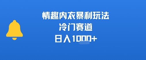 情趣内衣暴利玩法,冷门赛道,日入1k+-轻创社项目网