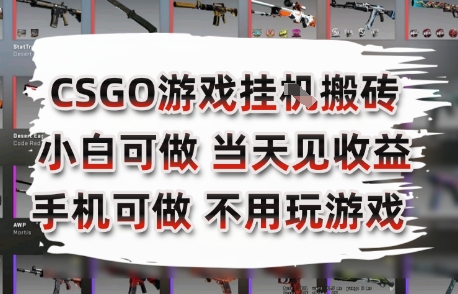 CSGO游戏挂G搬砖,小白纯手机即可操作,不用电脑打游戏,日入3张+,副业网创项目【揭秘】-轻创社项目网