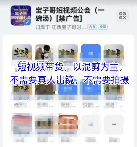 宝子哥头部团队短视频带货,以混剪为主,不需要真人出镜,不需要拍摄【更新8月】-轻创社项目网