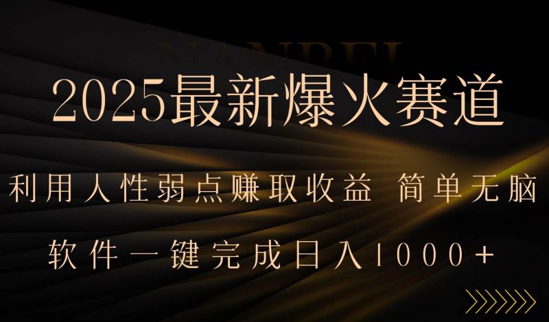 (15675期)2025最新爆火赛道,利用人生弱点赚取收益,全程一键批量制作,小白轻松…-轻创社项目网