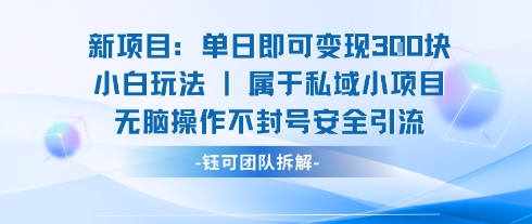 新项目单日即可变现3张的小白玩法无脑操作不封号安全引流-轻创社项目网