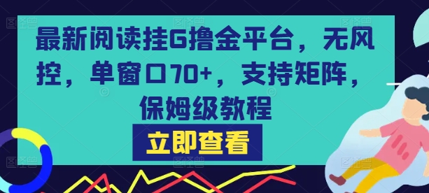 最新阅读挂G撸金平台,无风控,单窗口70+,支持矩阵,保姆级教程【揭秘】-轻创社项目网