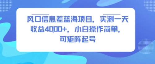风口信息差蓝海项目,实测一天收益4k+,小白操作简单,可矩阵起号-轻创社项目网