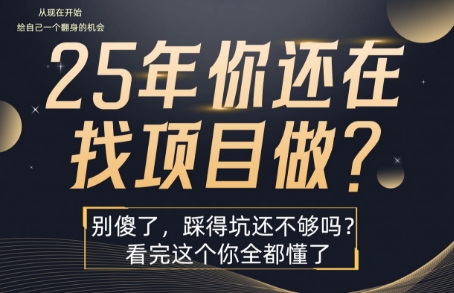 25年,你还在疯狂的找项目吗?别傻了,看完这个你都懂了【揭秘】-轻创社项目网