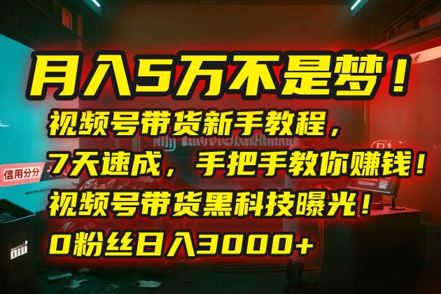 (15595期)月入5万不是梦!视频号带货新手教程,7天速成,手把手教你赚钱!视频号…-轻创社项目网