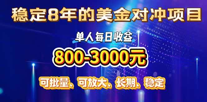 (15782期)稳定8年的美金对冲创业项目,单人每日收益800-3000,小众暴力项目-轻创社项目网