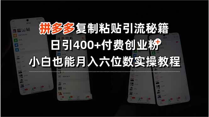 (15613期)拼多多复制粘贴引流秘籍,日引400+付费创业粉,小白也能月入六位数实操…-轻创社项目网