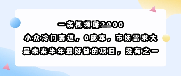 一条视频挣1k,小众冷门赛道,0成本,市场需求大,是未来半年最好做的项目,没有之一-轻创社项目网