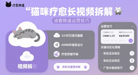 猫咪疗愈长视频拆解 &油管频道运营技巧-轻创社项目网