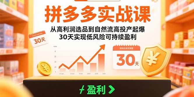 (15586期)拼多多实战课:从高利润选品到自然流高投产起爆 30天实现低风险可持续盈利-轻创社项目网