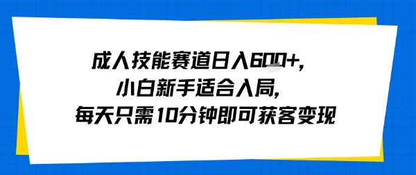 成人技能赛道日入多张,小白新手适合入局,每天只需10分钟即可获客变现-轻创社项目网