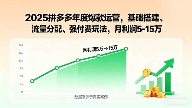 (15973期)2025拼多多年度爆款运营,基础搭建、流量分配、强付费玩法,月利润5-15万-轻创社项目网