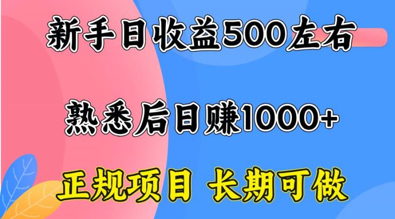 (15978期)一台电脑,前期日收益300-500,熟练后日入1000左右-轻创社项目网