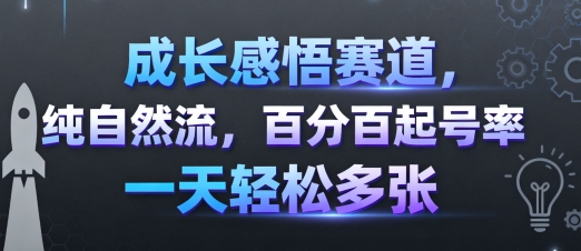 成长感悟赛道,纯自然流,百分百起号率 一天轻松多张-轻创社项目网