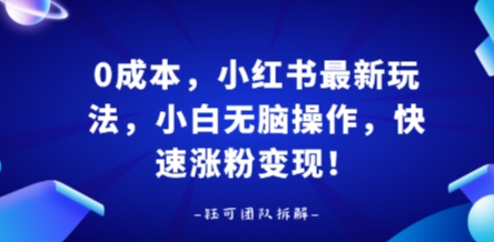 0成本,小红书最新玩法,小白无脑操作,快速涨粉变现-轻创社项目网